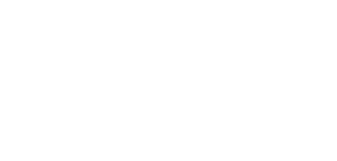 LOGO DMF